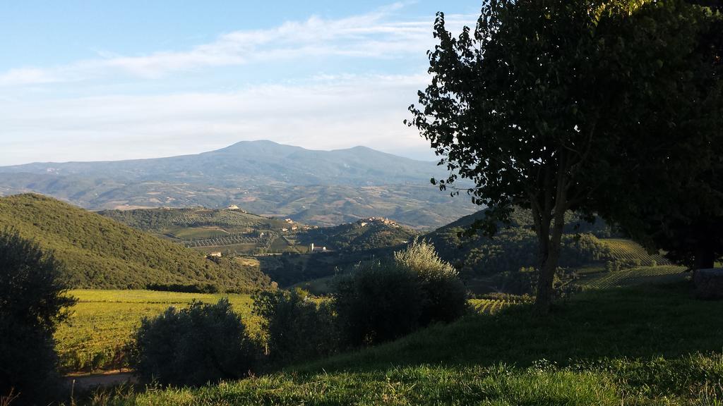 La Casa Di Alice Villa Castelnuovo dellʼAbate Dış mekan fotoğraf